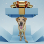 Chery y la Fundación “El Perro Feliz” promueven la adopción responsable con un Calendario de Adviento Animal